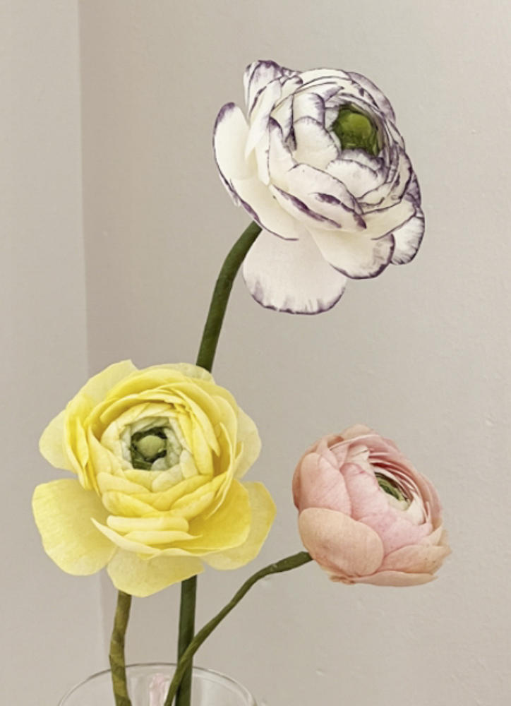 Rununculus | Anemone | Daisy