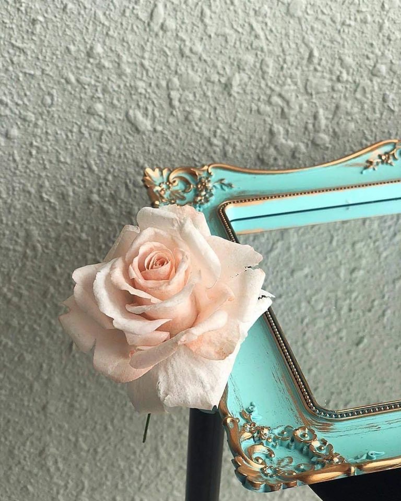Romantic Rose | Sweet Peas | Lily of the Valley
