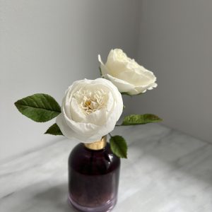 Modern English Roses styled with Ilex berries, Spider Plant and Devil’s Ivy