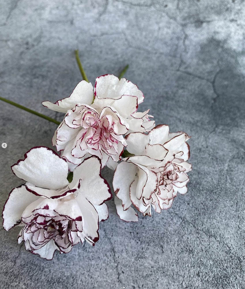 Spring Flowers: Cherry Blossoms | Carnation - Image 3