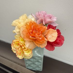 Spring Flowers: Cherry Blossoms | Carnation