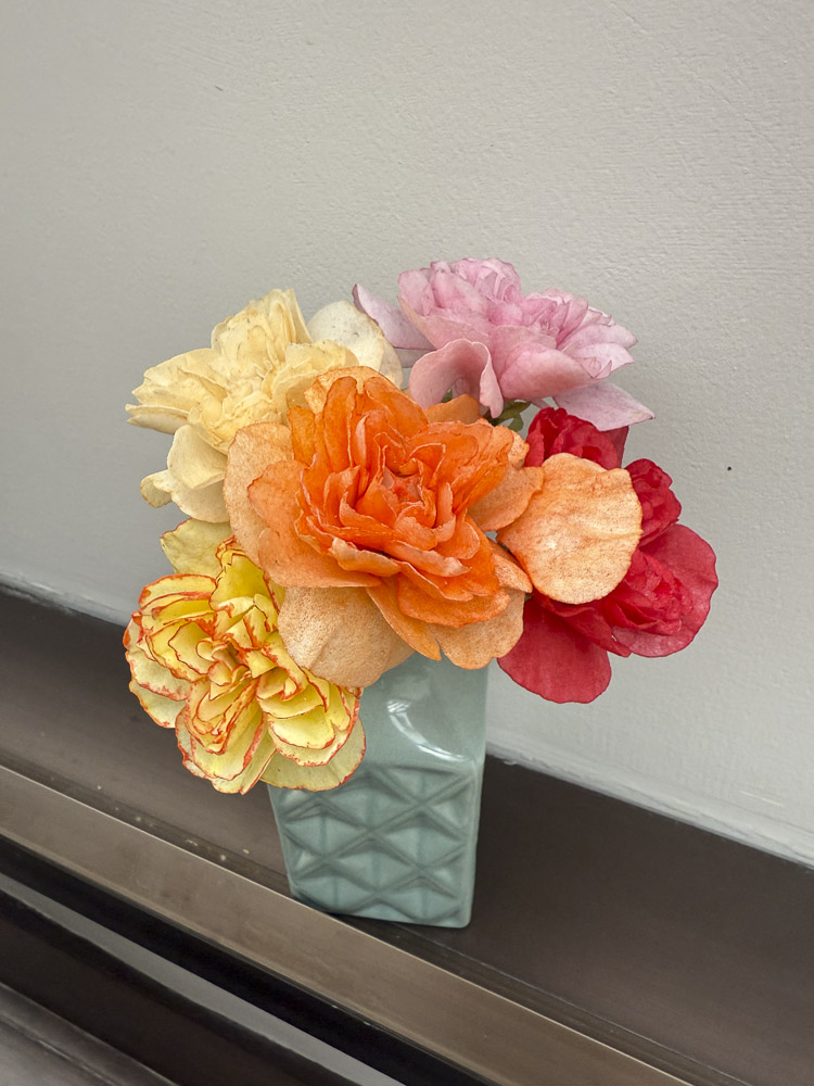 Spring Flowers: Cherry Blossoms | Carnation